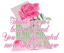 Thank you for being a friend pink rose