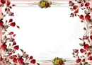 Frame