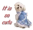 it is cute