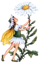 Daisy Girl