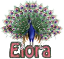 Elora