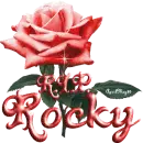 red rose rip r.i.p r i p rocky