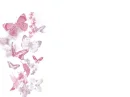 Pink Butterflies