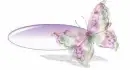 Pretty Butterfly
