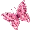 Small Pink Butterfly
