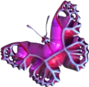Colorful Pink
