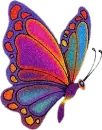 Rainbow Butterfly