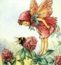 spring flower collage