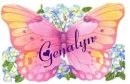 Colorful Butterfly Genalyn