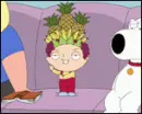 family guy
