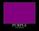 PURPLE!