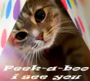 peek-a-boo i see u