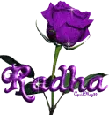 purple rose radha