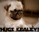 Hugs Kealey