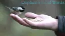 replace