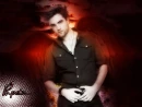 Rpatz angel