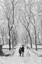 snow