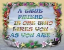 True Friends
