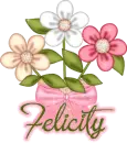 Felicity
