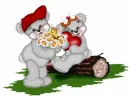 creddy bears