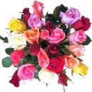 Colorful Roses