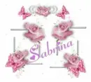 Pink Roses Sabrina