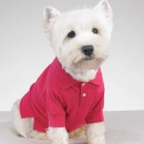 doggy