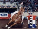 horses