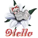 HELLO