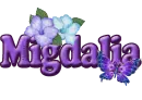 Purple flower & Butterfly: Migdalia