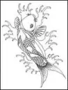 Koi