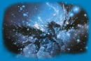 Starry Pegasus