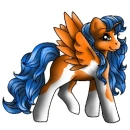  pony