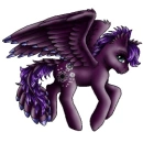 pony