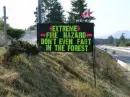 Forest Flammable