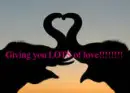 Lots Of Love!!!!
