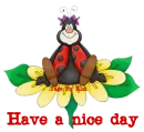 have a nice day
