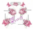 Tracy Roses Frame