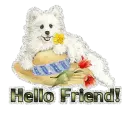 Hello Friend