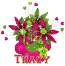 Tracy