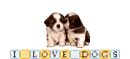 i love dogs