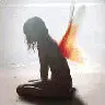 Fairy