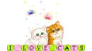 i love cats
