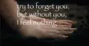 evanescence- farther away
