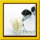 Friend