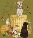 cute dog