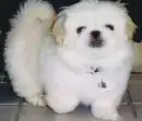 cute