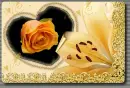 Lilien