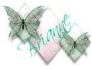 BRIANNE