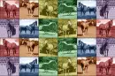 Quarter Horse Background